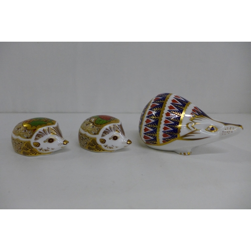 653 - Three Royal Crown Derby Hedgehog Paperweights - Strawberry Hedgehog with gold stopper and original b... 