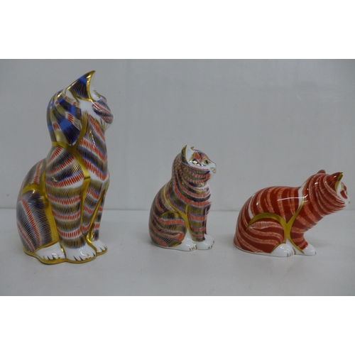 654 - Three Royal Crown Derby Cat Paperweights -  Sitting Ginger Kitten, limited edition specially commiss... 