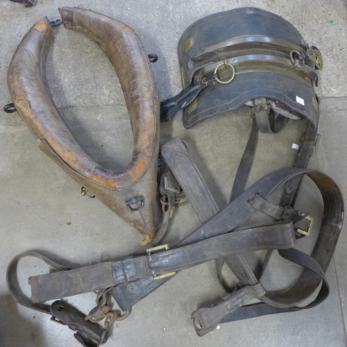 Lot 247       