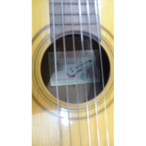 798 - A Giannini classical guitar with ply top