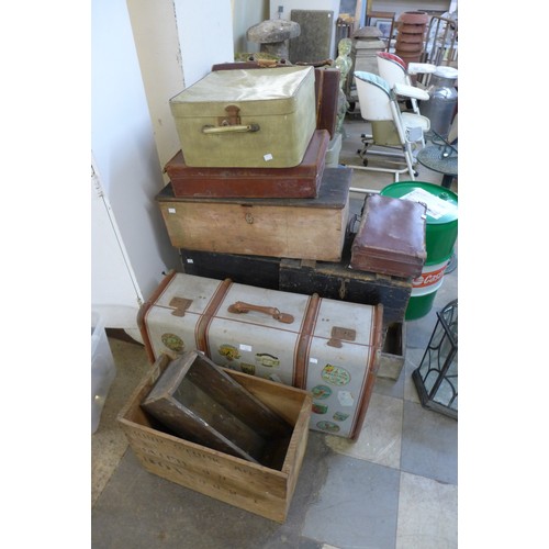 Lot 264       