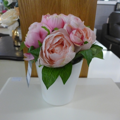 1418 - A potted eternity rose in a white pot, H 19cms (50612606)   #