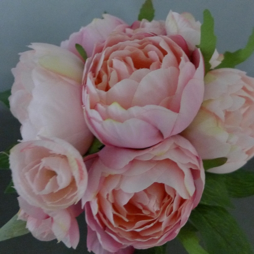 1389 - A potted eternity rose in a white pot, H 19cms (50612606)   #