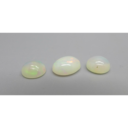 952 - Three unmounted opals, 2.97cts