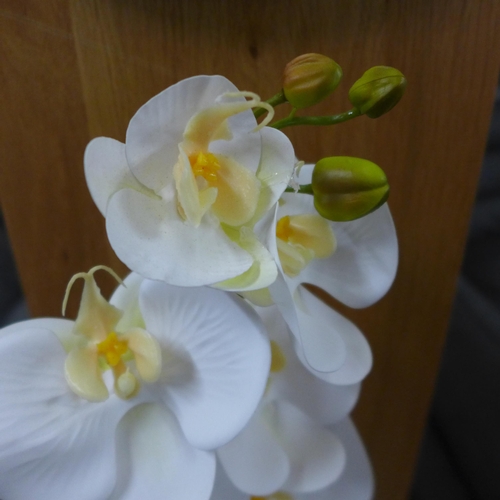 1386 - A single stem orchid in a white pot, 60cms (54837907)   #