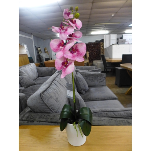 1412 - A single stem pink orchid in a white pot, 60cms (53137907)   #