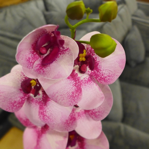 1412 - A single stem pink orchid in a white pot, 60cms (53137907)   #