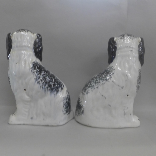 608 - A pair of early 20th Century Staffordshire spaniels, 27.5cm