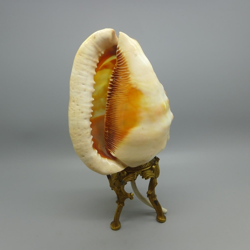 639 - A carved shell cameo table lamp on a gilt metal base, 23cm