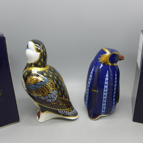 643 - Two Royal Crown Derby Sea Bird paperweights - Rockhopper Penguin, designed by John Ablitt and a Puff... 