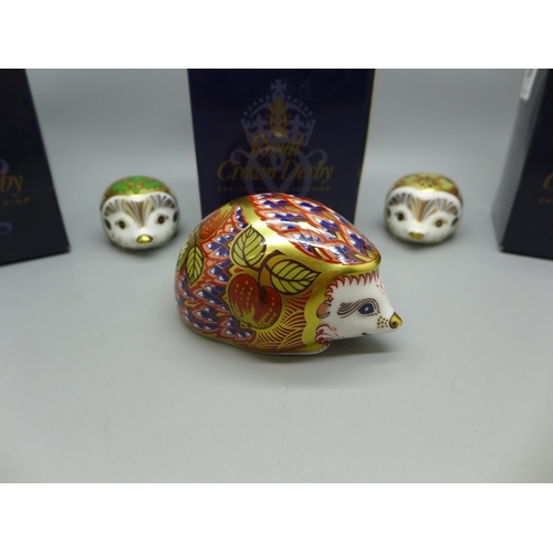 648 - Three Royal Crown Derby Hedgehog Paperweights - Holly Newborn Hedgehog and Ivy Newborn Hedgehog, bot... 