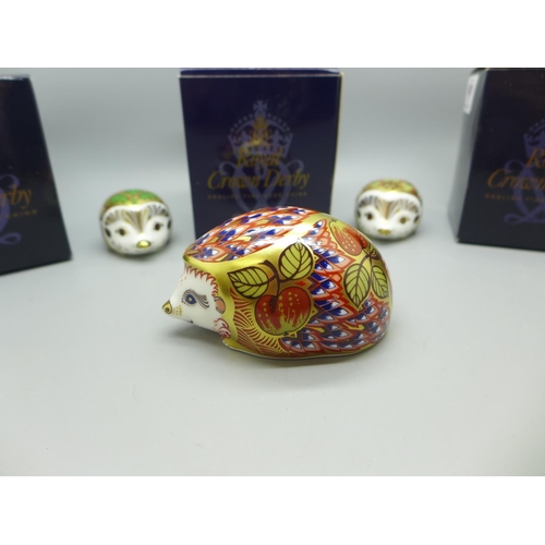 648 - Three Royal Crown Derby Hedgehog Paperweights - Holly Newborn Hedgehog and Ivy Newborn Hedgehog, bot... 