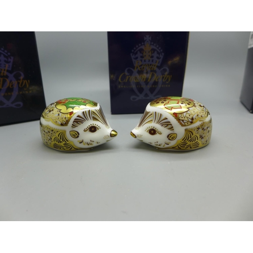 648 - Three Royal Crown Derby Hedgehog Paperweights - Holly Newborn Hedgehog and Ivy Newborn Hedgehog, bot... 