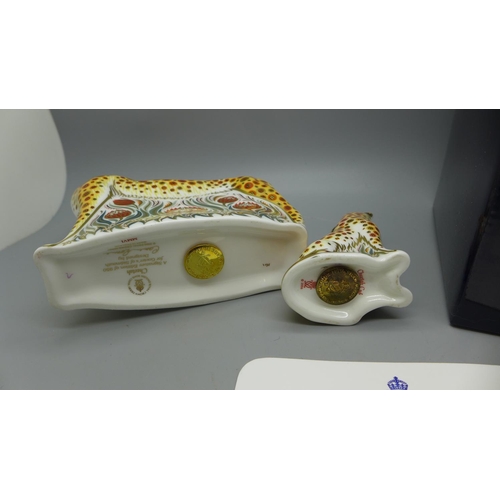 649 - Two Royal Crown Derby paperweights - Cheetah, 15cm, with gold stopper and box and a Cheetah Cub with... 