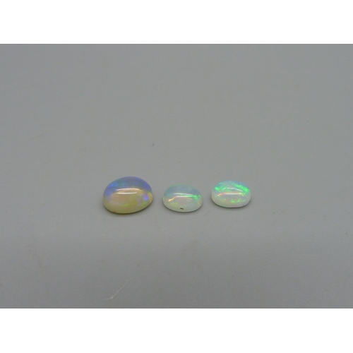 950 - Three unmounted opals, 3.06cts