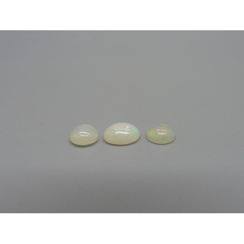 952 - Three unmounted opals, 2.97cts