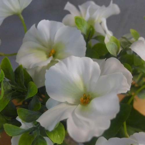 1360 - A spray of white pansies in a ribbed glass vase, H 30cms (54848204)   #