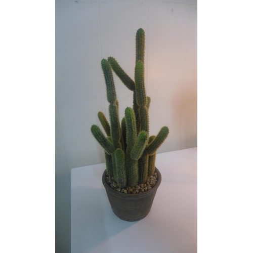 1417 - An artificial cactus in a rustic pot (505941339962616)   #