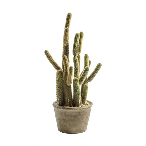 1417 - An artificial cactus in a rustic pot (505941339962616)   #