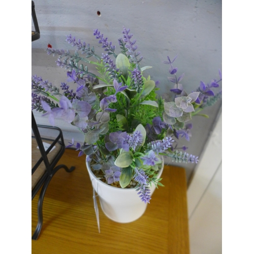 1365 - A lavender and eucalyptus display in a white pot, H 35cms (54345506)   #