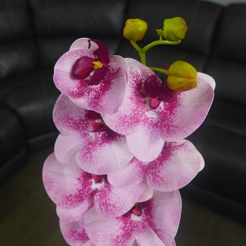 1307 - A single stem pink orchid in a white pot, 60cms (53137907)   #