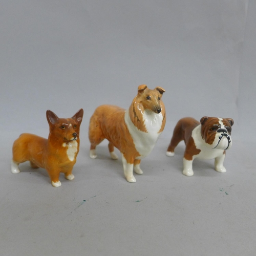 639 - Three Beswick dogs, Corgi, Bosun Bulldog and Collie