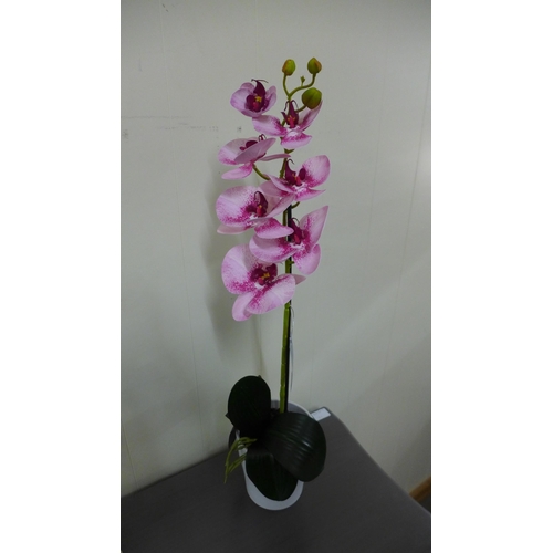 1535 - A single stem pink orchid in a white pot, 60cms (53137907)   #