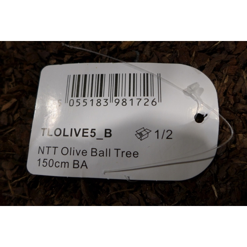 3045a - Artificial Olive Tree in Pot (243-76) * This lot is subject to VAT