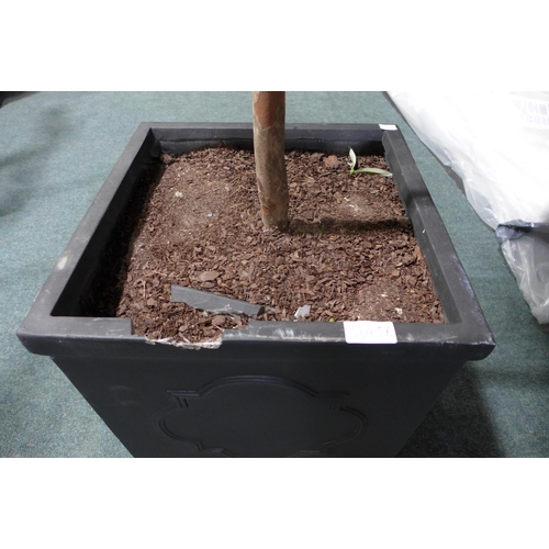 3045b - Artificial Olive Tree in Pot (243-77) * This lot is subject to VAT