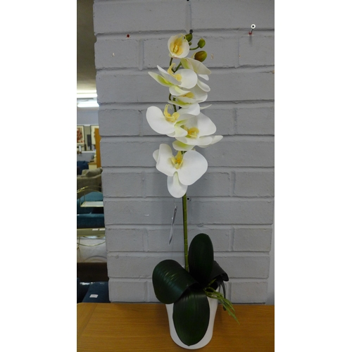 1536 - A single stem orchid in a white pot, 60cms (54837907)   #