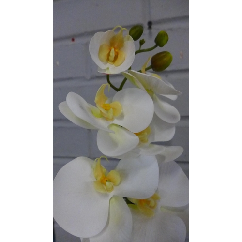 1536 - A single stem orchid in a white pot, 60cms (54837907)   #