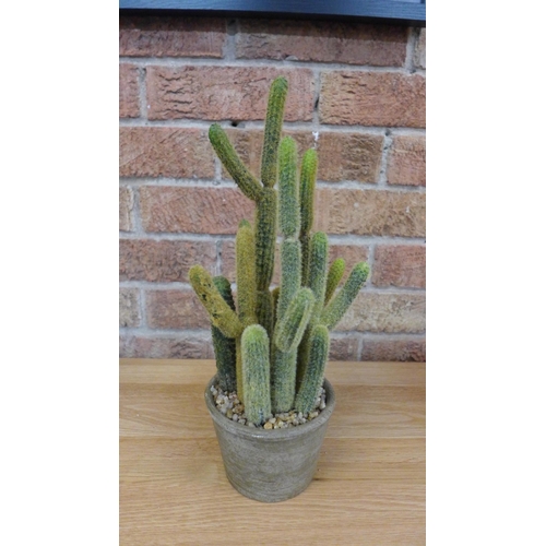 1561 - An artificial cactus in a rustic pot (505941339962616)   #