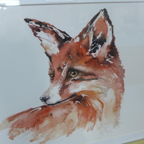 1379 - A Meg Hawkins framed fox print, 40 x 50cms (MH102810)   #