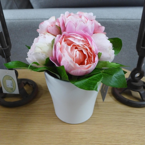 1517 - A potted eternity rose in a white pot, H 19cms (50612606)   #