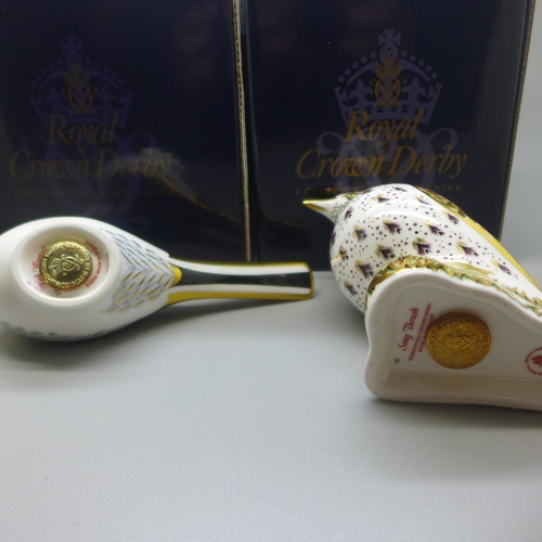 659 - A pair of Royal Crown Derby Bird paperweights - Song Thrush, dated 2006 and Pied Wagtail, date marks... 