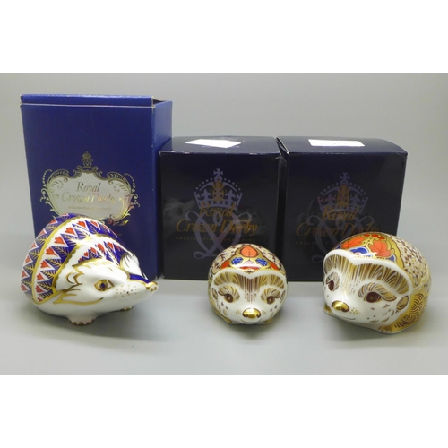 660 - Three Royal Crown Derby Hedgehog paperweights - Hawthorn Hedgehog, Bramble Hedgehog and Hedgehog, go... 