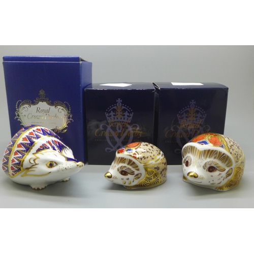 660 - Three Royal Crown Derby Hedgehog paperweights - Hawthorn Hedgehog, Bramble Hedgehog and Hedgehog, go... 