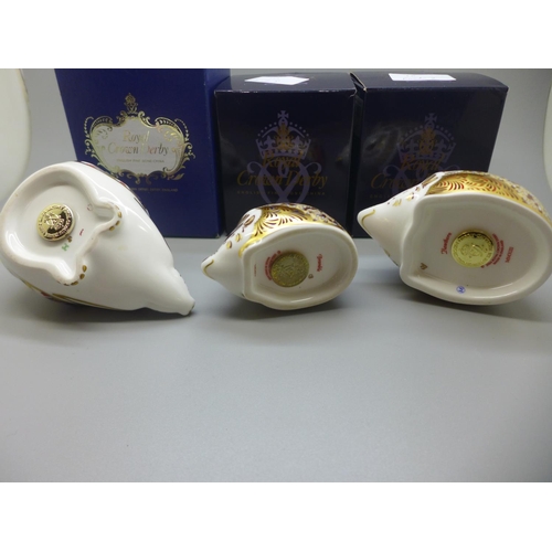 660 - Three Royal Crown Derby Hedgehog paperweights - Hawthorn Hedgehog, Bramble Hedgehog and Hedgehog, go... 