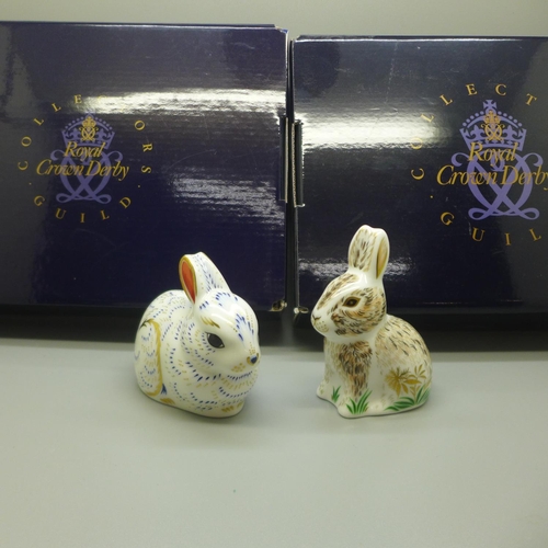 672 - Two Royal Crown Derby Rabbit paperweights, Nibbles bunny and Baby bunny, both limited edition, Colle... 