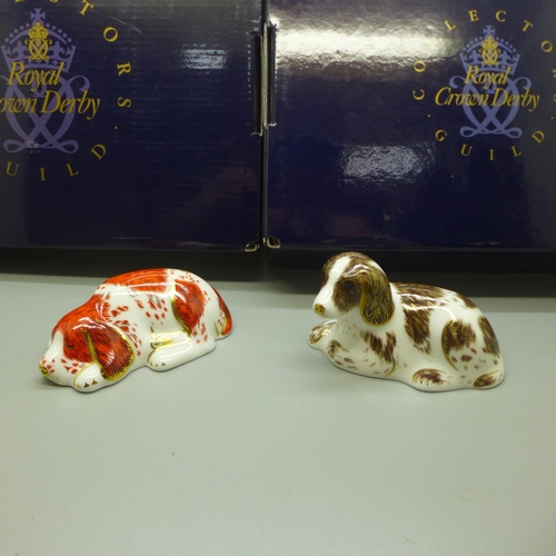 673 - Two Royal Crown Derby paperweights, Scruff and Puppy, both limited edition, Collectors Guild Members... 