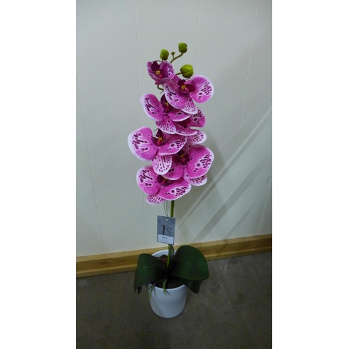 1455 - A single pink orchid in a white pot, 60cms (52937907)   #