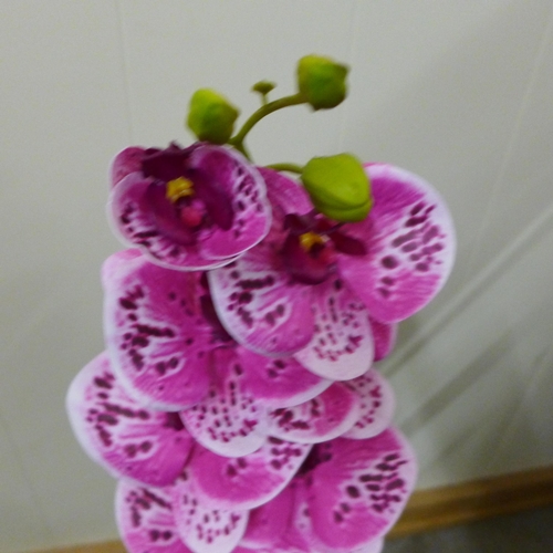 1455 - A single pink orchid in a white pot, 60cms (52937907)   #