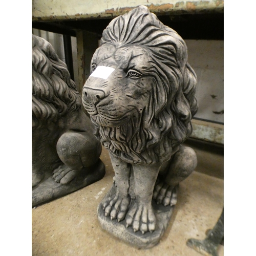 2422 - A pair of Lion garden ornaments