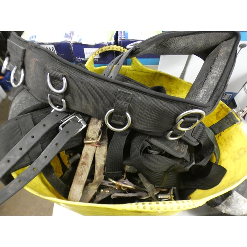 2997 - Horse riding job lot: tub of reins, bridles, etc., horse measuring stick & 3 rakes