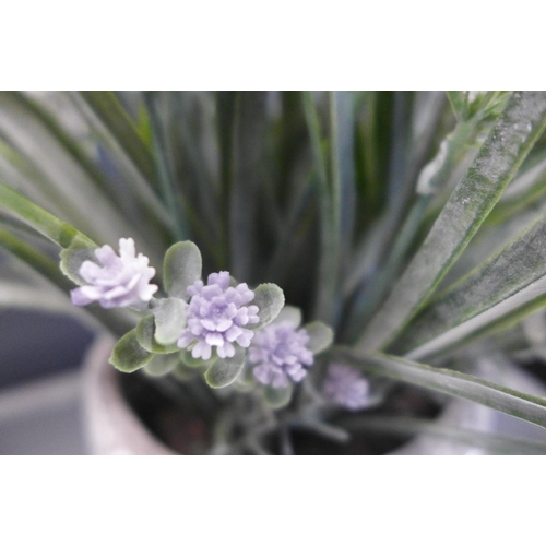 1438 - A lavender spray in a decorative ceramic pot, H 36cms (2941609)   #