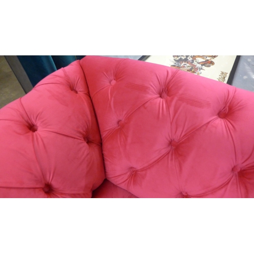 1401 - A hot pink upholstered two seater Chester club sofa with grey oak legs