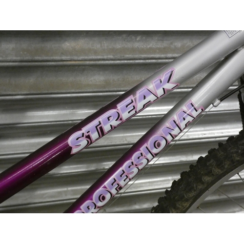 2088 - Streak Professional lady's MTB