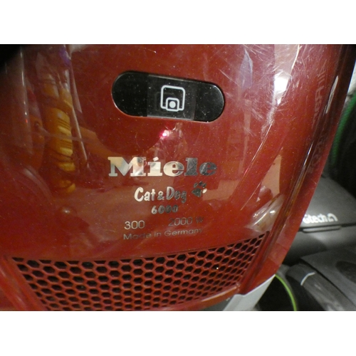 2411 - Miele Cat & Dog 6000 2000w vacuum cleaner with floor tool & 1 other - W