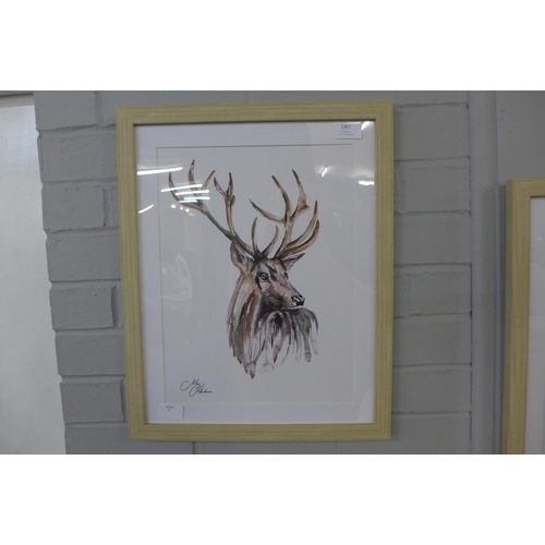 1484 - A Meg Hawkins framed stag print, 40 x 50 cms (MH103010)   #