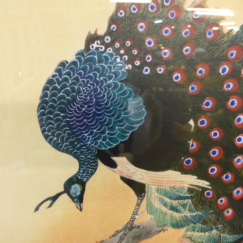 1349 - A Ohara Koson recess framed  print (Peacock On A Cherry Blossom Tree) 50X100Cm(PFPPR4130648)   *